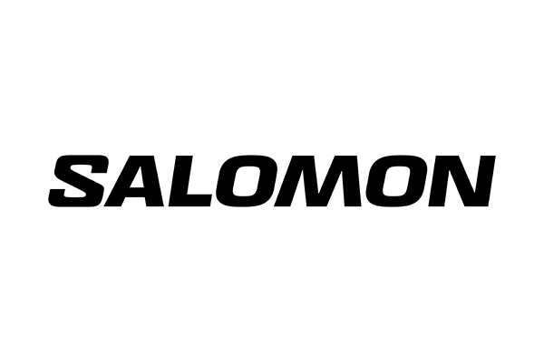 Salomon brand logo image