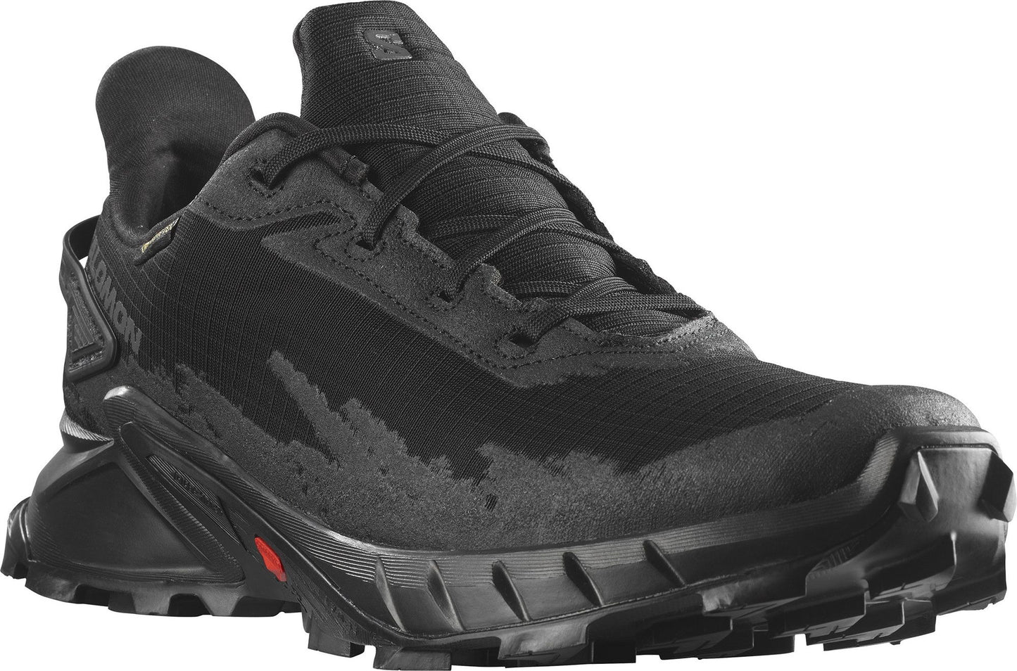Salomon Shoes M Alphacross 4 Gore-tex Black