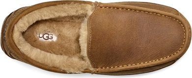Brown leather loafer with tan inner lining and UGG logo.